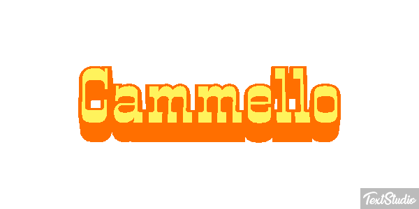 Cammello Effetto testo