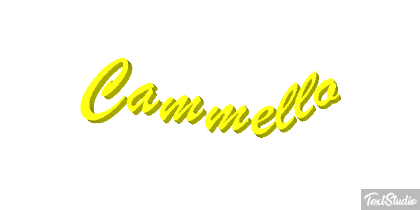 Cammello Effetto testo