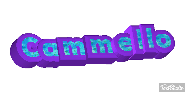 Cammello Effetto testo