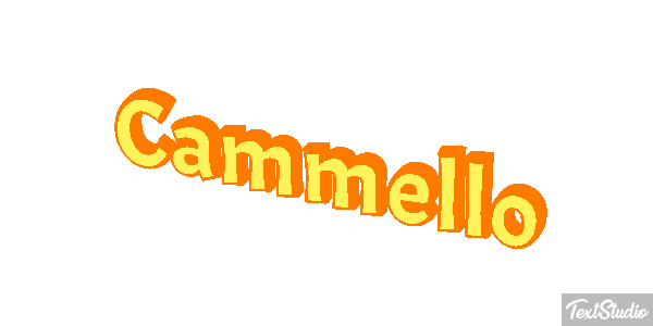 Cammello Effetto testo