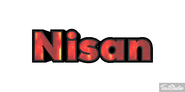 Nisan Metin efekti