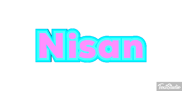 Nisan Metin efekti