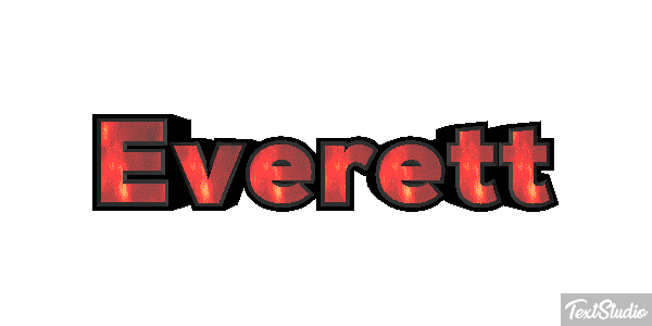 Everett Metin efekti