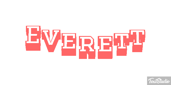 Everett Metin efekti