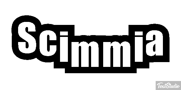 Scimmia テキスト効果