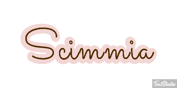 Scimmia テキスト効果