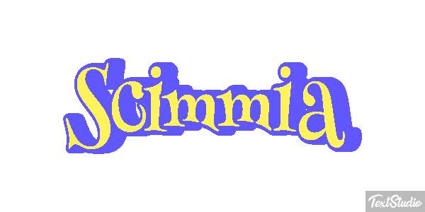 Scimmia テキスト効果