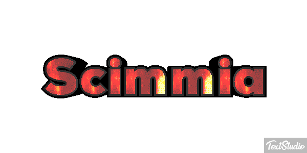 Scimmia テキスト効果