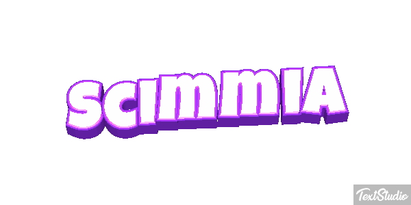 Scimmia テキスト効果