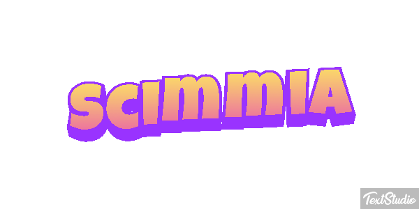 Scimmia テキスト効果