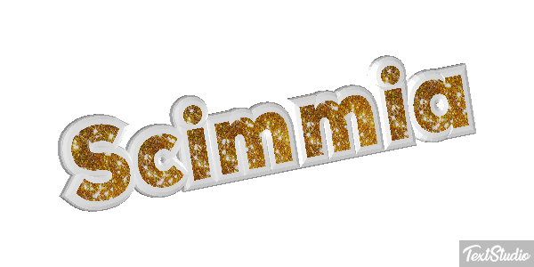 Scimmia テキスト効果