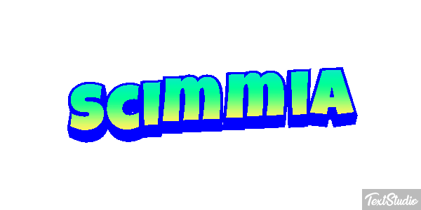 Scimmia テキスト効果
