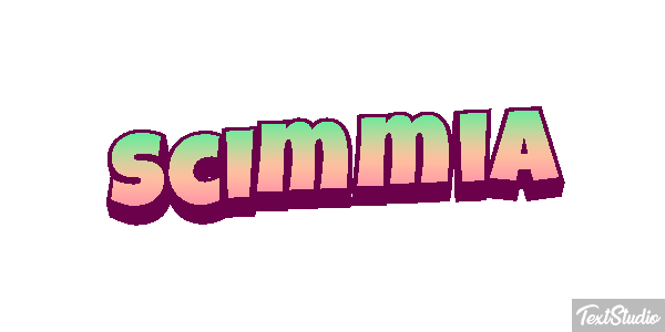 Scimmia テキスト効果