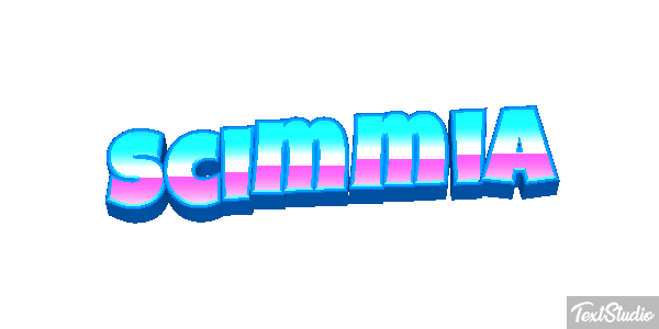 Scimmia テキスト効果