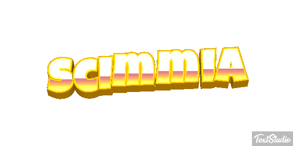 Scimmia テキスト効果