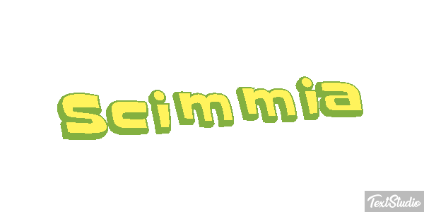 Scimmia テキスト効果