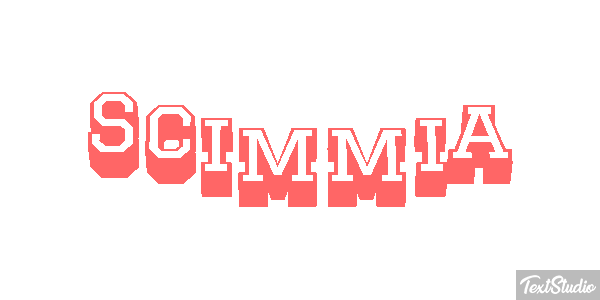Scimmia テキスト効果