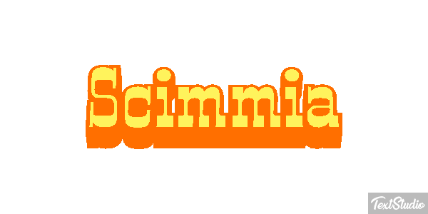 Scimmia テキスト効果