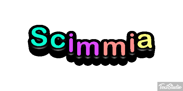 Scimmia テキスト効果