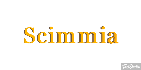 Scimmia テキスト効果