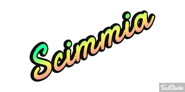 Scimmia テキスト効果