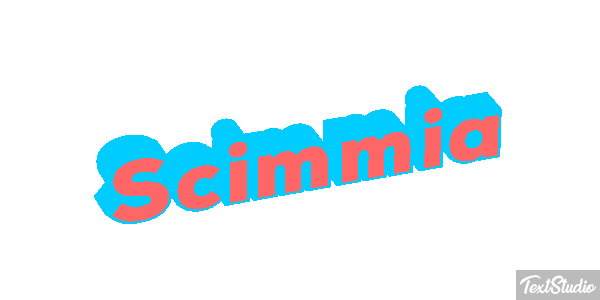Scimmia テキスト効果