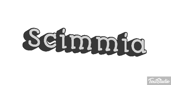 Scimmia テキスト効果