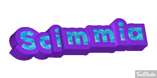 Scimmia テキスト効果