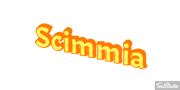 Scimmia テキスト効果