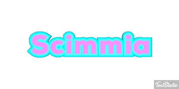 Scimmia テキスト効果