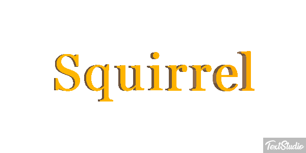Squirrel Text effect