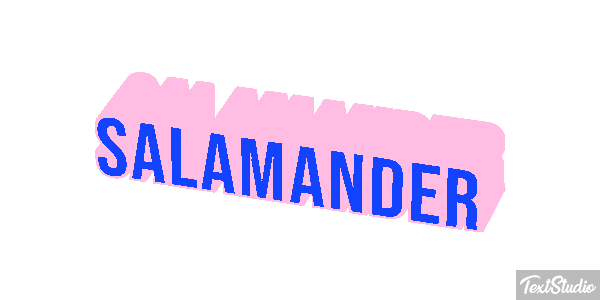 Salamander テキスト効果