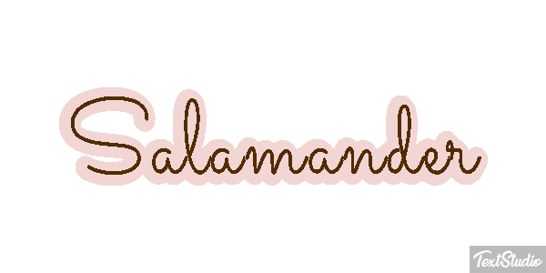 Salamander テキスト効果