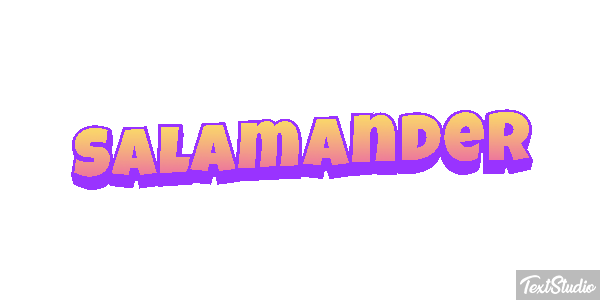 Salamander テキスト効果