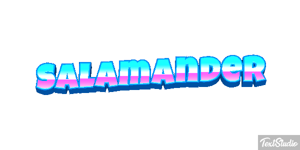 Salamander テキスト効果