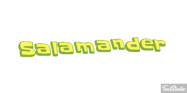 Salamander テキスト効果