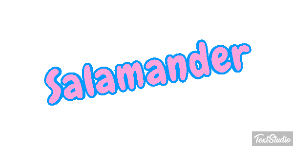 Salamander テキスト効果