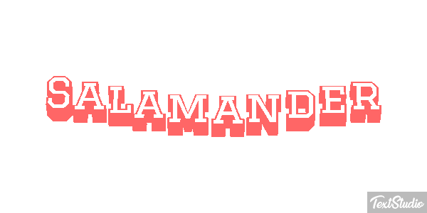 Salamander テキスト効果
