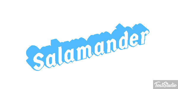 Salamander テキスト効果