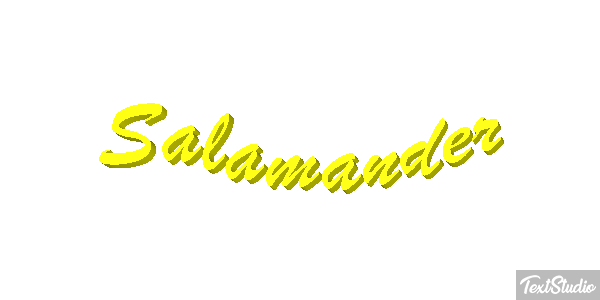 Salamander テキスト効果