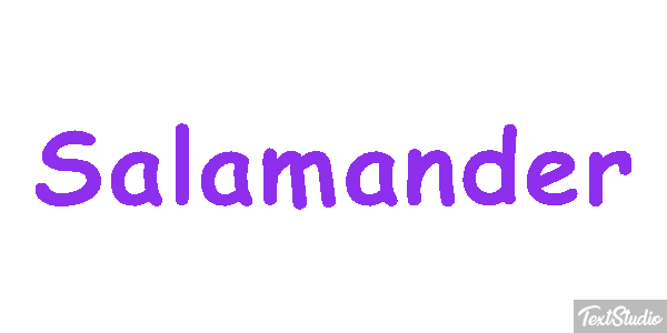 Salamander テキスト効果
