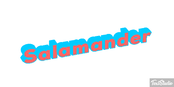 Salamander テキスト効果
