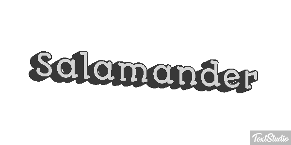 Salamander テキスト効果