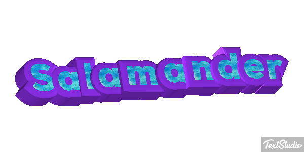 Salamander テキスト効果