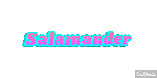 Salamander テキスト効果
