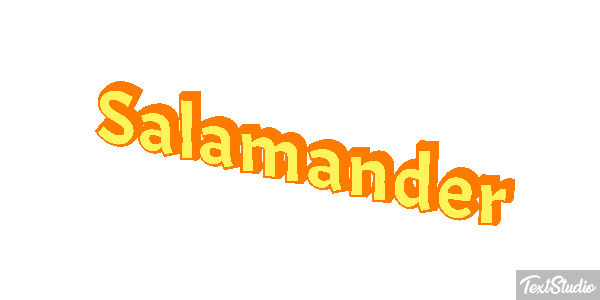 Salamander テキスト効果