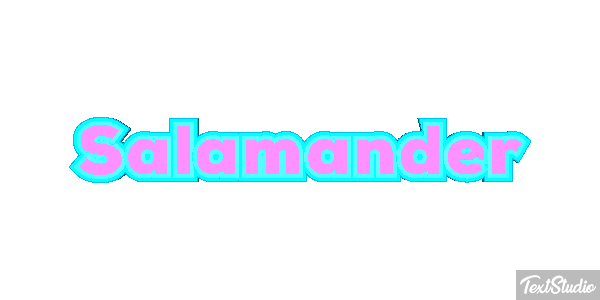 Salamander テキスト効果