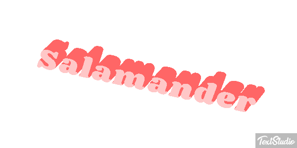 Salamander テキスト効果