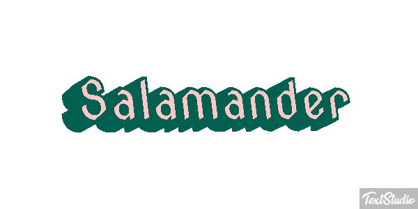 Salamander テキスト効果