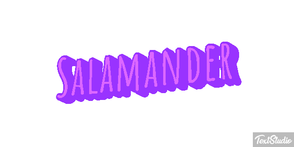 Salamander テキスト効果